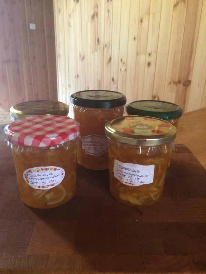 Spruce Lake Sauviat-sur-Vige Екстериор снимка